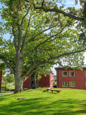 Området omkring Runö Möten ligner en lille landsby med klassiske røde huse omgivet af træer og grønne arealer.