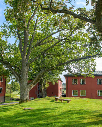 Runö Møters område minner om en liten landsby, med klassiske røde hus omgitt av trær og grønne plener.