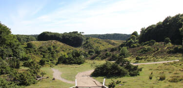 Das 4-Sterne-Hotel Comwell Rebild Bakker liegt mitten im Nationalpark Rebild südlich des Limfjords.