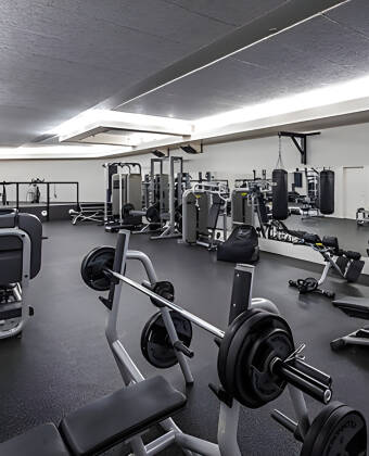 Keep up the shape with a tour of the hotel's own gym.