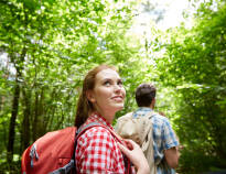 Go on an active excursion on foot or on two wheels, with good opportunities for hiking and cycling.