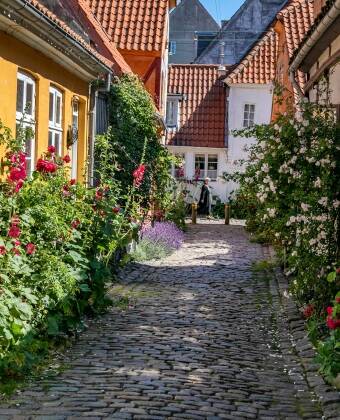 Gå gennem de charmerende gader i Helsingør, en af Danmarks ældste byer, fuld af historie, butikker og lokalt liv.
