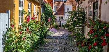 Gå gennem de charmerende gader i Helsingør, en af Danmarks ældste byer, fuld af historie, butikker og lokalt liv.