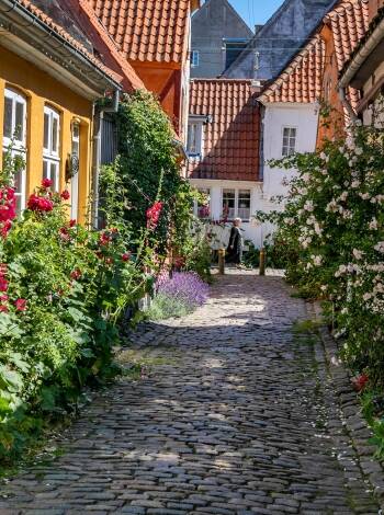 Vandra genom de charmiga gatorna i Helsingør, en av Danmarks äldsta städer, full av historia, butiker och lokalt liv.