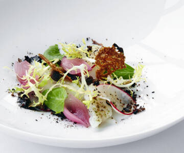 Nyd en lækker middag på Restaurant Linden, hvor friske, lokale ingredienser og bæredygtigt nordisk køkken er i centrum.