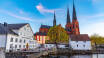 Don't miss out on trips to Uppsala and Sigtuna