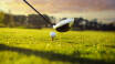 Spela en runda eller två på Fågelbrohus Golf & Country Club vid sidan av hotellet.