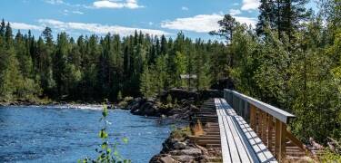 Ume River Valley är en 30 km lång vandringsled med historiska och kulturella sevärdheter och vacker natur längs floden. Du kan njuta av den till fots, med cykel eller med bil.
