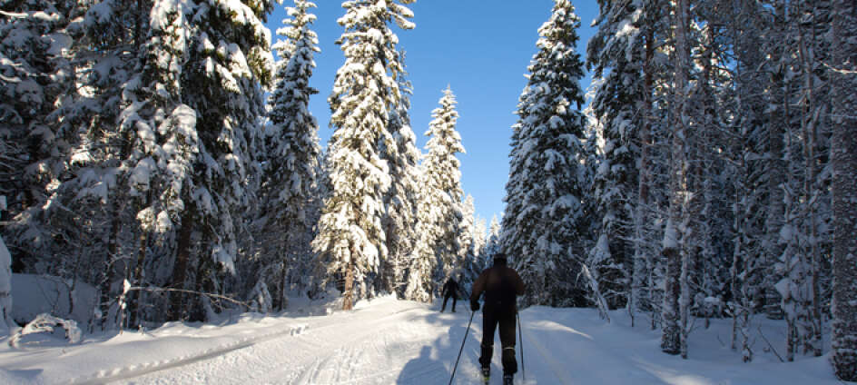 Winterurlauber finden schöne Wintersportgebiete gleich in der Nähe.