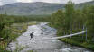Ein Urlaub in Schweden, am Alsensee, ist ideal für einen Wanderurlaub in der wundervollen Natur.