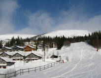 Hotellet ligger ikke langt fra det populære Åre. Perfekt til en vinterferie på ski.
