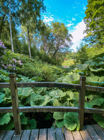 Besøk Rottneros blomster- og skulpturpark i Sunne.
