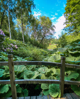 Besök Rottneros skulpturpark i Sunne och beskåda den botaniska skönheten.
