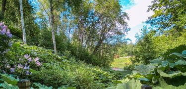 Besøk Rottneros blomster- og skulpturpark i Sunne.