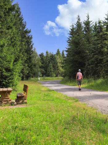 Den thüringiska skogen är den perfekta platsen för aktiva semesterfirare att koppla av.
