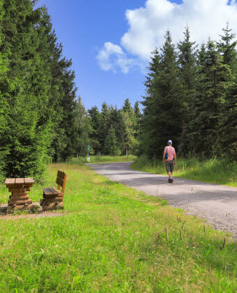 The Thuringian Forest is the perfect place for active vacationers to relax.