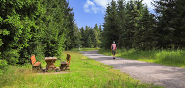 Der Thüringer Wald ist vor allem für Aktivurlauber der perfekte Ort zum Erholen.