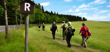 Der Rennsteig ist eine beliebte Wanderregion in Mitteldeutschland.