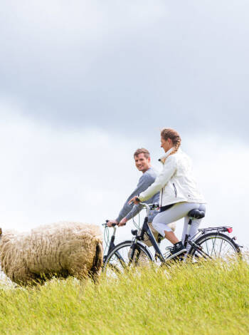 Vom Landhaus Gardels aus erkunden Sie die Nordsee-Region – zum Beispiel sportlich-entspannt auf dem Fahrrad.