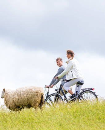 Fra hotellet kan dere utforske Nordsjø-regionen, f.eks. med avslappende gåturer eller sporty sykkelturer.