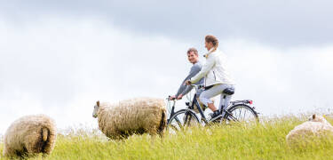 Vom Landhaus Gardels aus erkunden Sie die Nordsee-Region – zum Beispiel sportlich-entspannt auf dem Fahrrad.