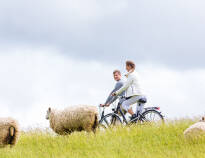 Vom Landhaus Gardels aus erkunden Sie die Nordsee-Region – zum Beispiel sportlich-entspannt auf dem Fahrrad.