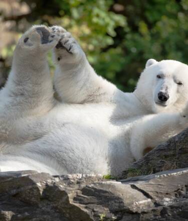 Der nahe gelegene Stadtpark und der Zoo laden zu Freizeitaktivitäten und Familienausflügen ein.