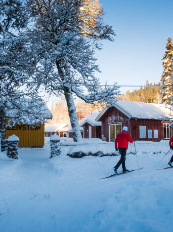 Im Winter finden Sie in der Nähe Skipisten mit anfängerfreundlichen Loipen.
