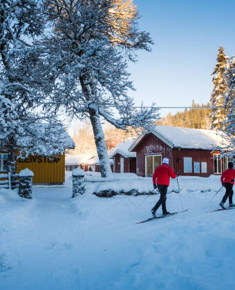 Winter brings nearby ski slopes with beginner-friendly trails.