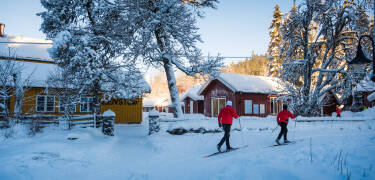 Im Winter finden Sie in der Nähe Skipisten mit anfängerfreundlichen Loipen.