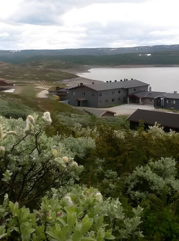 Genießen Sie die Ruhe und Erholung in der herrlichen Natur Norwegens.