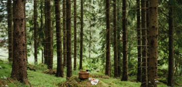Nutzen Sie die landschaftlich reizvolle Umgebung zum Wandern, Radfahren und Kanufahren.
