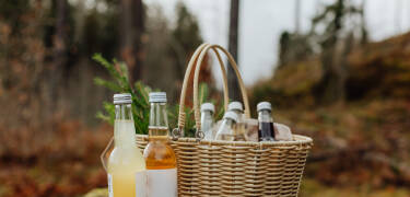 Das Hotel bietet verschiedene Outdoor-Aktivitäten und lokale Gerichte mit Aromen aus dem Wald.