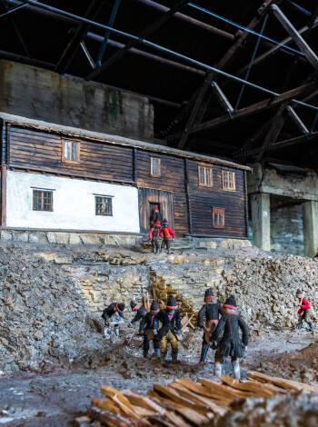 Dive into Røros's history and literature with museums and tours.