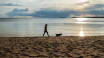 You'll be a short distance from Sweden's second largest lake, Vättern, where you can enjoy strolls along Varamon beach,