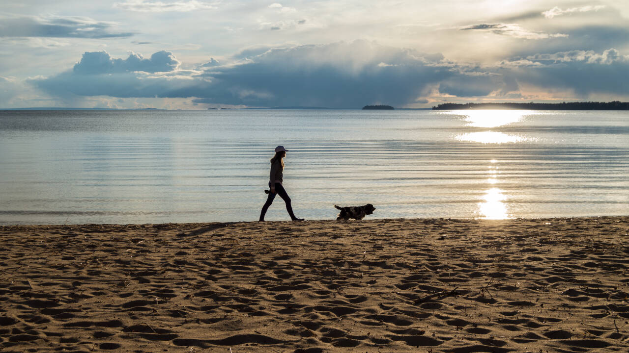 Unternehmen Sie einen Strandausflug zum Varamon-Strand am Vättern-See, dem zweitgrößten See Schwedens.