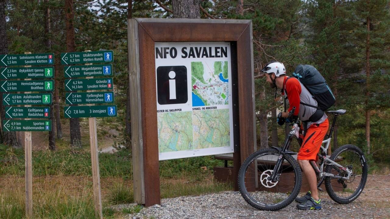 Explore mountain trails on foot or discover the countryside by bike.
