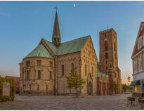 Erleben Sie die sehr alte und schöne Stadt Ribe mit dem beeindruckenden Dom!