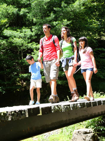 From Hotel Tannenpark, hiking trails lead directly into the lush forests of the Harz.