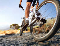 Explore the area on mountain bikes.