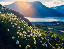 De norske fjellene har unik natur.