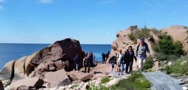 Machen Sie Ihren Schwedentrip nach Kalmar zu einem Aktivurlaub mit Radtouren und/oder Wanderungen.