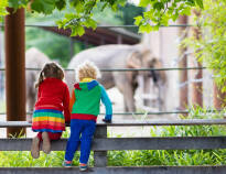 Er børnene med på ferien vil et besøg i Borås Zoo, kun 2 km fra hotellet, nok kunne vække glæde.