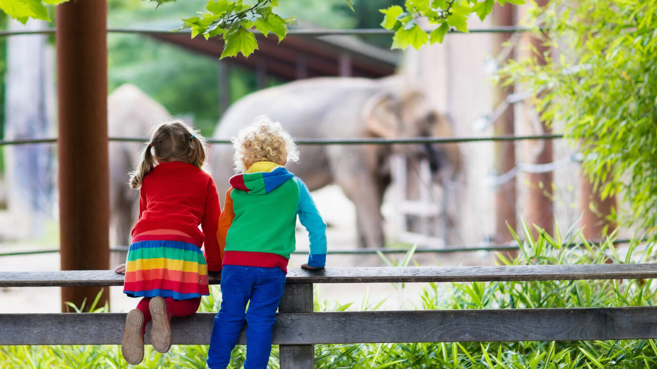 Er børnene med på ferien vil et besøg i Borås Zoo, kun 2 km fra hotellet, nok kunne vække glæde.