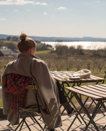 Andre spennende utfluktsmål inkluderer f.eks. fruktgårdene i Kaxholmen, hyggelige gårdskaféer og utsiktspunktene Vista Kulle og Tegnértornet.