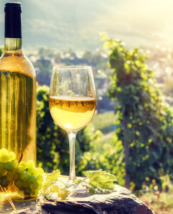 Flere af de lokale vinbønder tilbyder guidede ture med vinsmagning i kælderen.