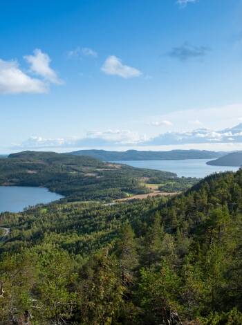 Utforska den fantastiska Högkusten, ett UNESCO-världsarv känt för sina dramatiska klippor och hisnande vyer.