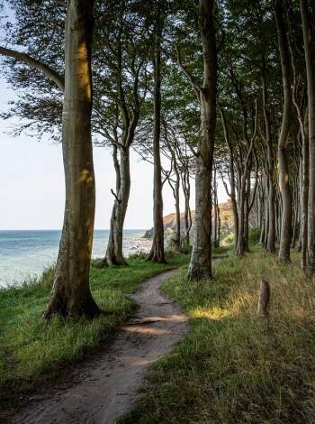 Reach the Rügen flint fields in 5 minutes and enjoy scenic hiking routes.
