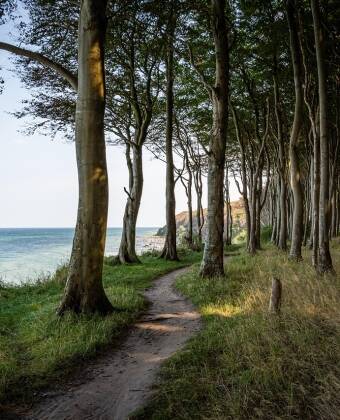 Erreichen Sie die Rügener Feuersteinfelder in 5 Minuten und genießen Sie malerische Wanderwege.