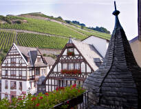 Nyd en afslappende ferie med fantastisk natur og dejlig vin i historiske rammer i den UNESCO-listede Rhindal.